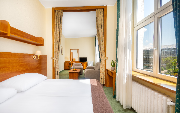 Hotel Millennium, Apartman