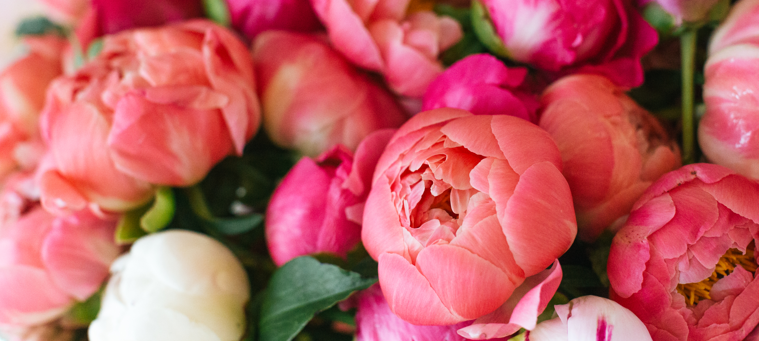 Hajdúszoboszló - Hunguest Hotel Aqua-Sol - Pünkösdi hosszú hétvége Hajdúszoboszlón