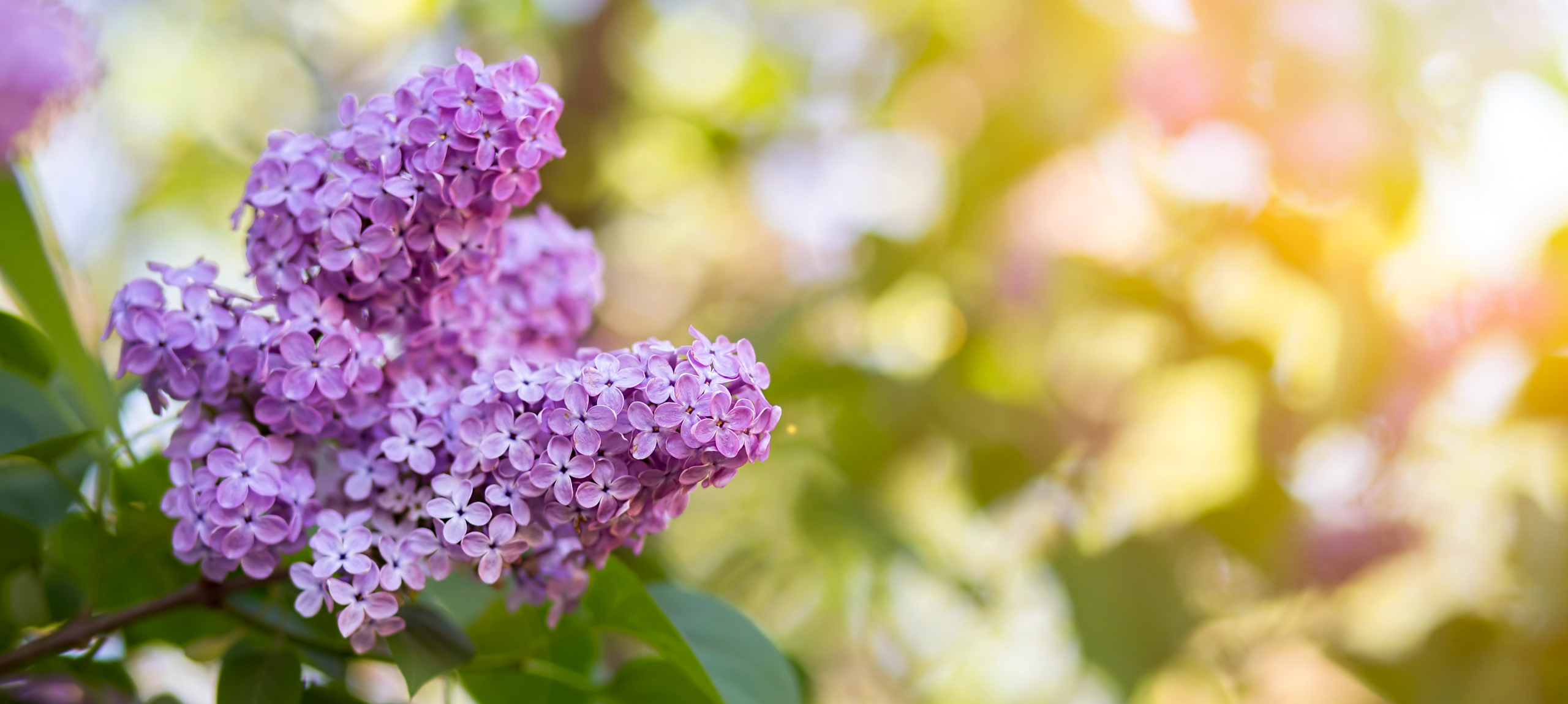 Hajdúszoboszló - Hunguest Hotel Apollo - Oferta de Rusalii în Hajdúszoboszló