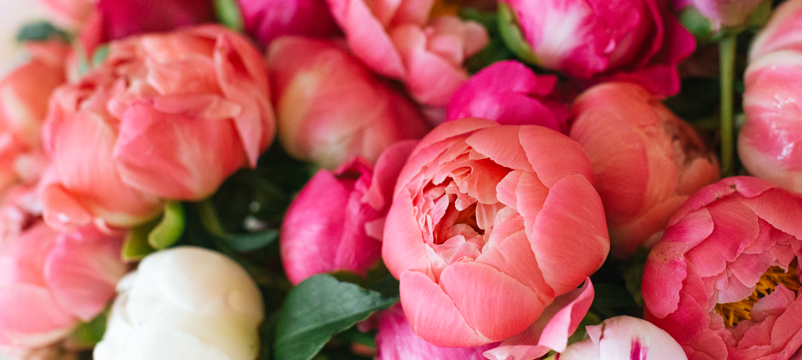 Nyíregyháza - Hunguest Hotel Sóstó - Oferta de Rusalii în Nyíregyháza